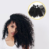 Wholesale 8A 9A 10A Grade Unprocessed Virgin Brazilian Human Curly Hair Bundles With Lace Closure