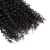 Double Drawn Remy Hair Extension Human Hair Kinky Curly Bundles