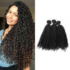 Double Drawn Human Hair Bundles Unprocessed Wet And Wavy Kinky Curly Wave Hair 3 Bundles