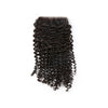 Soulbrauty 100% Human Hair Raw Virgin Cuticle Aligned Crly Hair From India Unprocessed