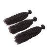 Unprocessed Kinky Curly Virgin Brazilian Hair Extension 3 Brazilian Hair Bundles